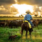 Matt Pearce - @matt_pearcep1 - Instagram