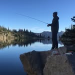 Matt Pedersen - @matt.pedersen.54 - Instagram