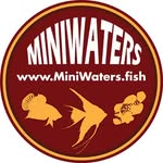 Matt Pedersen - @miniwatersfish - Instagram