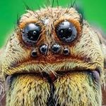 Matt Pelfrey - @pelfreymatt - Instagram