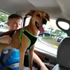 Matthew pelfrey - @matthew_pelfrey11 - TikTok