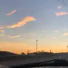 mattiepelfrey3 - @mattiepelfrey3 - TikTok