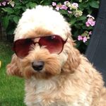 Matt - @_matt_pennington_ - Instagram