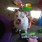 Matt Pettit - Facebook