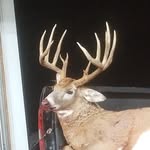 Matt Pfaff - @pfaff4470 - Instagram