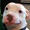 matt.pfaff - @matt.pfaff - TikTok