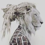 Ларенсо Инсинье - @matt.pharrell - Instagram