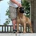 Matt Pharr - Facebook