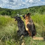 Matt Piatt - @mpiatt5 - Instagram