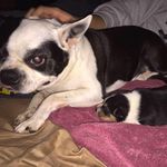 Matt Plunkett - @mplunk96 - Instagram