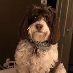 Matt Plunkett - @plunkett9924 - Instagram