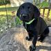 Matthew Pollitt - Facebook