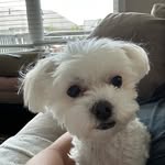 Matt Priebe - @matt_priebe - Instagram