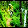 Matt Proctor - @matt_proctor - TikTok