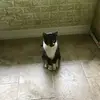 mattproctor - @mattproctor4k - TikTok