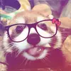 Sophia💗 - @proud.matt.girl - TikTok