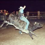 Matt Provost - @gingerballz88 - Instagram