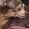 matthewh617 - @matt.ramirez721 - TikTok