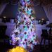 Mattie Ratliff - Facebook