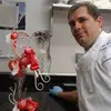 Pastry till it hurts - @matthewjamesratliff - TikTok