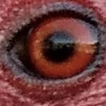 Matt Rawson - @rawson.matt - Instagram