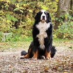 Matt Rawson - @1bigdog4me - Instagram