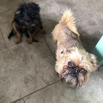 Matt Reason - @reason5782 - Instagram