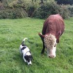 Matt Redman - @mattredman1983 - Instagram