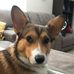 Matthew Redman - Facebook