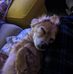 Matt Reece Davies - Facebook