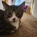 Matthew Reece - Facebook