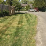 Matt Reimer - @snapshotlandscaping - Instagram