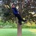 Matthew Ritchie - Facebook
