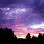 @matt_rodas2003 - Instagram