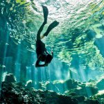 Matt Roderick - @freedivr - Instagram