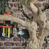 rodderz - @mattroderick - TikTok
