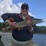 Matt Rogge - @matrogge - Instagram