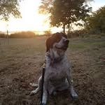 Matt Rogge - @brookbigtrout - Instagram
