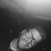 Matthew Rogge - Facebook