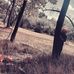 Matthew Rogge - Facebook