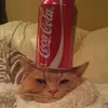matt.rohrbach - @matt.rohrbach - TikTok