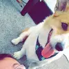 Matt Roper - @mattroper0 - TikTok
