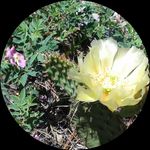 Matt Ruggles - @instamatt_colorado - Instagram