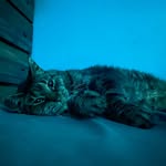Matt.D.Rumsion - @matthew_david_rumsey - Instagram