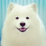 Matt Saul - @bettercallmattsaul - Instagram