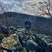 Matt Schaffer - Facebook