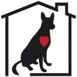 Matt Schaffer - @doghousere - Instagram