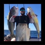 Matt Schofield - @mattschofield - Instagram