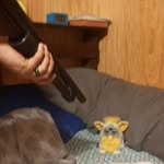 Matt Schommer - @schommer.matt - Instagram