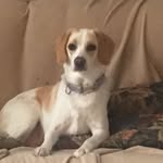 Matt Schubert - @mattschub - Instagram